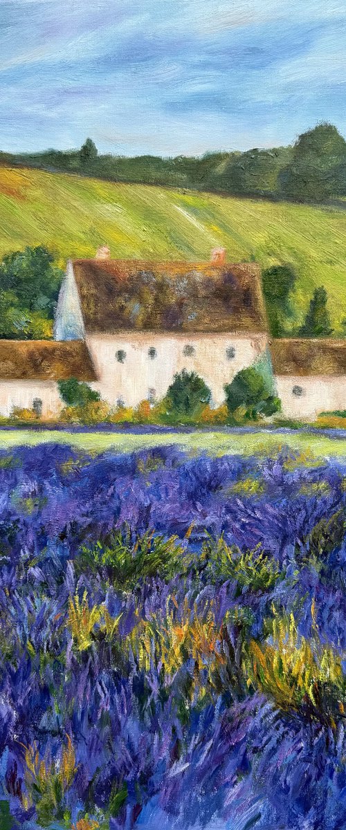 The Little Waltz in Purple by Naihsin Chwu