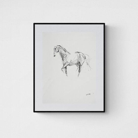 Equine Nude 28a