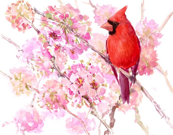 cardinal bird in spring