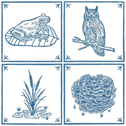 Frog/Great Horned Owl/Cattail/Hen of the Woods by Francis Stanton