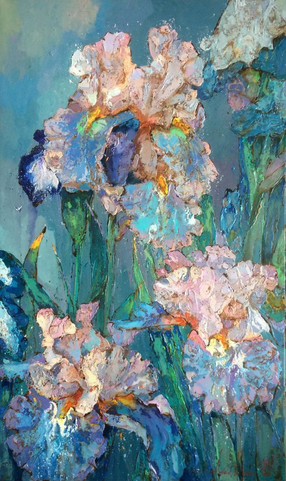 Irises - 60 - 100 cm.