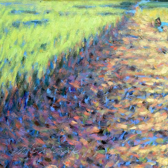 Sommer fields