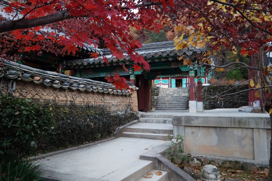 Autumn Maples Framing the Stairway Gate