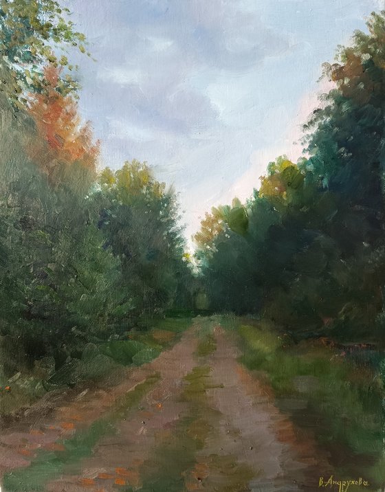 Road in the forest