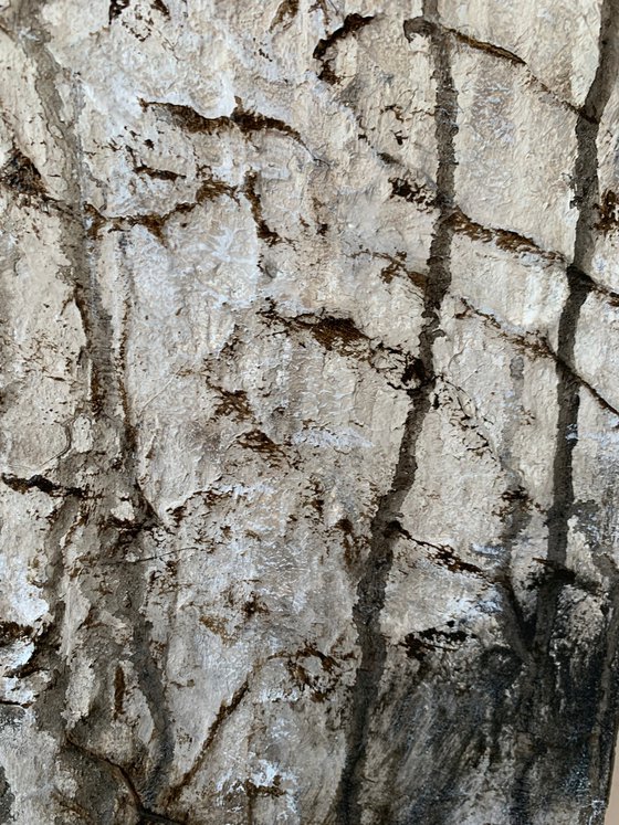 Earthy abstract texture