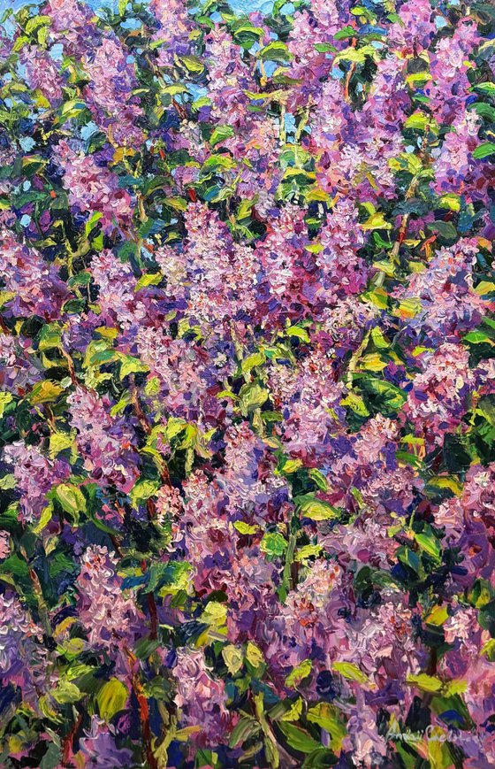 Breath of spring.
