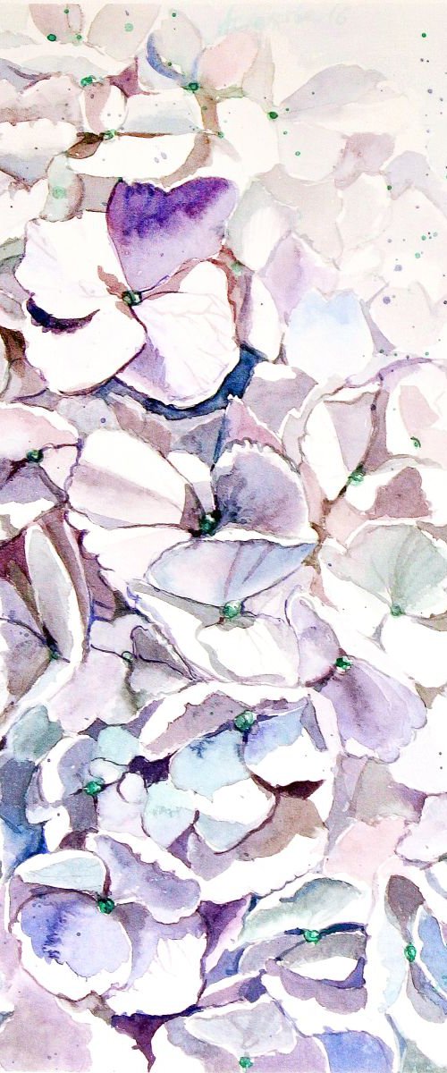 A White Hydrangea by Ksenia Astakhova