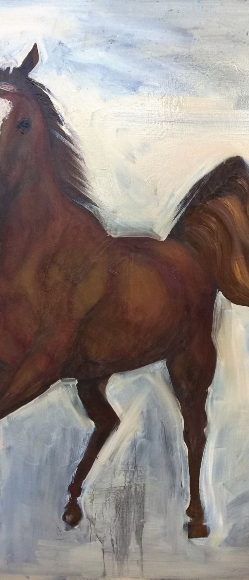 Horsie by Romuald Mulk Musiolik