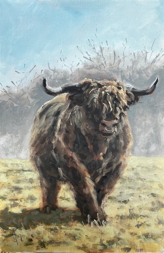 Highlander in Winter 2