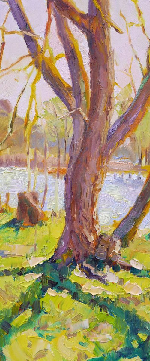 Plein air 03-04-2017 (sunny day) by Dima Braga