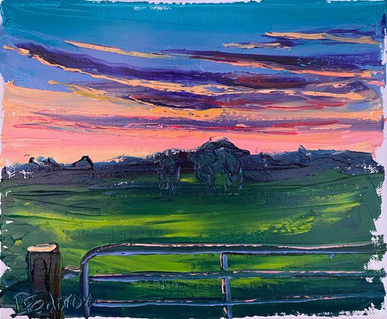 Sunset at meadow. Plein air