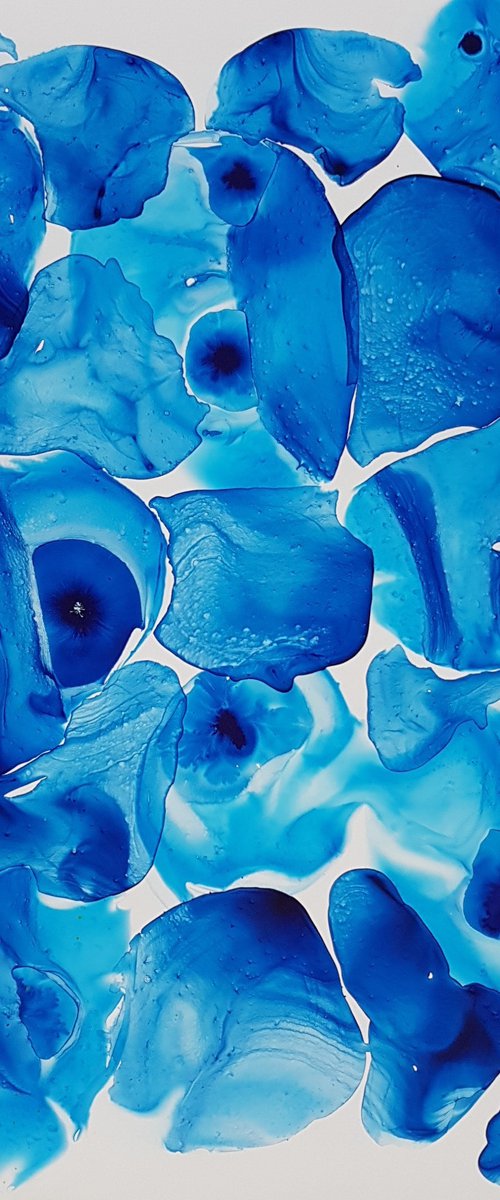 Blue Symphonie by Wioletta Gancarz
