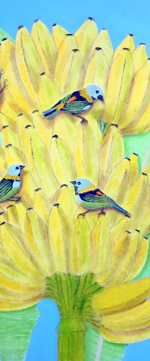 BIRDS OF A FEATHER, BRAZIL by Leslie Dannenberg