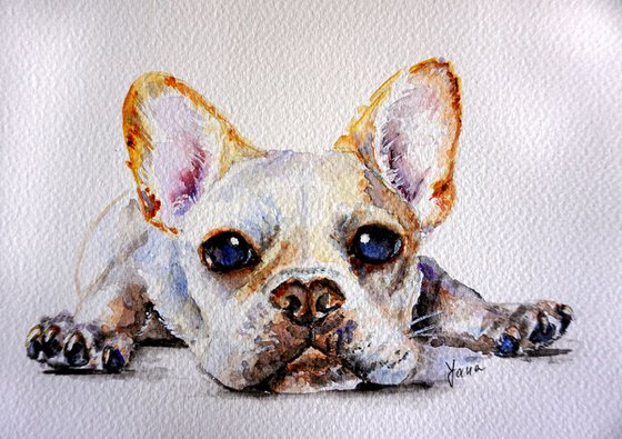 Cute Watercolor French Bulldog _ ORIGINAL