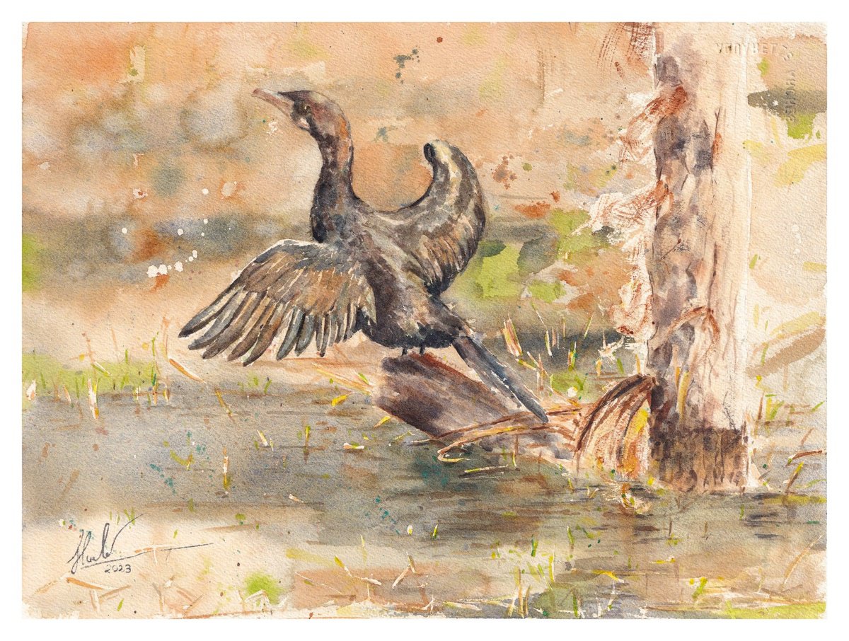 Animal Watercolour By Hua Le, 15 X 11, Bird, Original Artwork