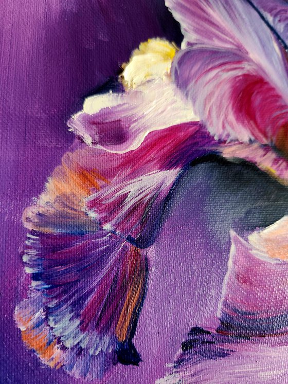 Iris in Barocco Style.