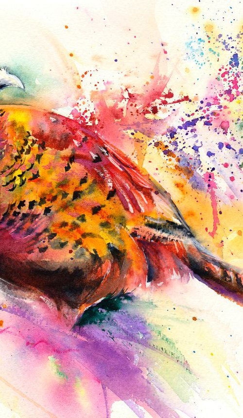 Pheasant by Anjana Cawdell