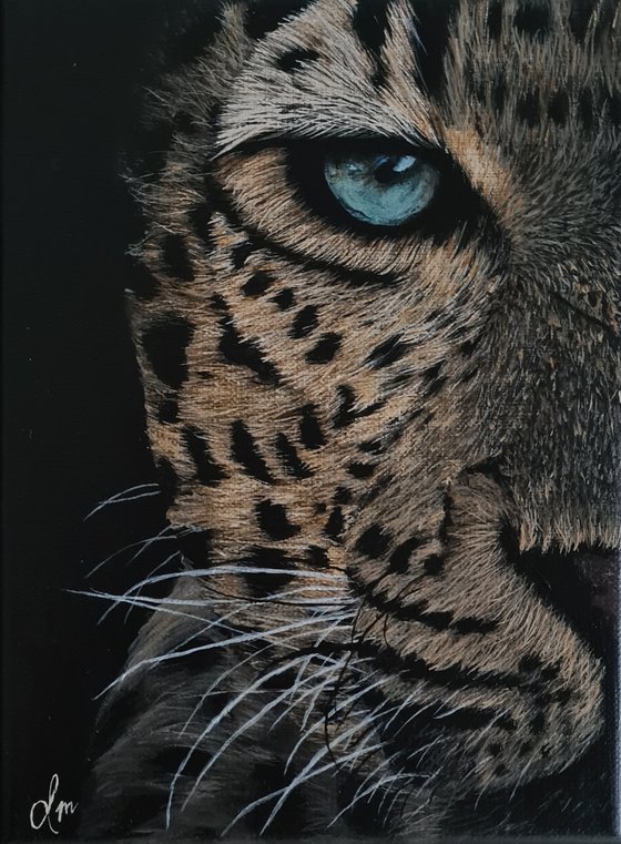 Leopard eye