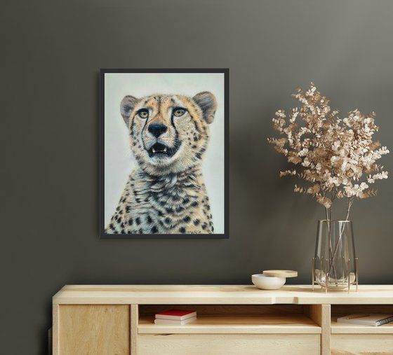 Cheetah portrait 'Watch out'