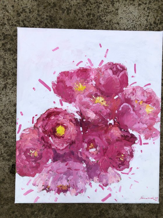 May peonies