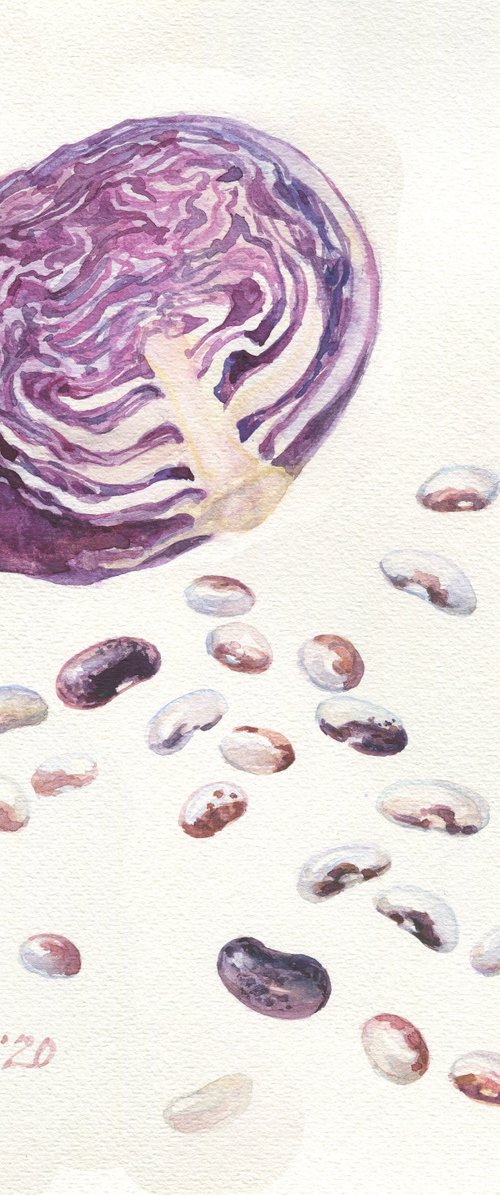 Veggies 7 Red cabbage and beans / Original kitchen watercolor Purple vegetables on a white background by Olha Malko