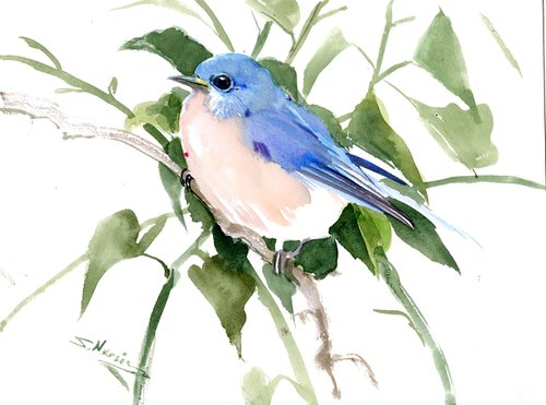 Bluebird by Suren Nersisyan