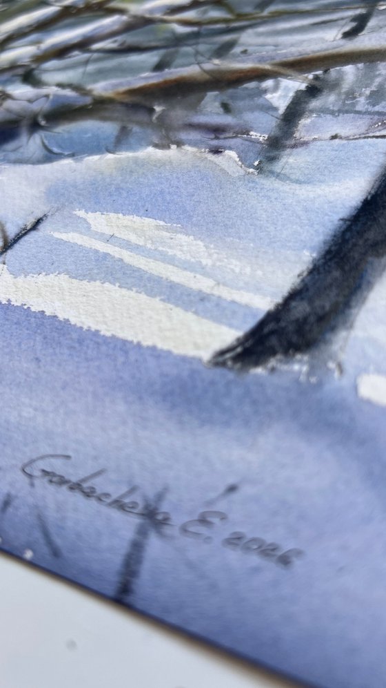 Winter’s Quiet Breath