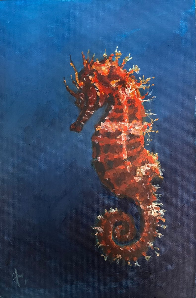 Seahorse by Cedric Visser