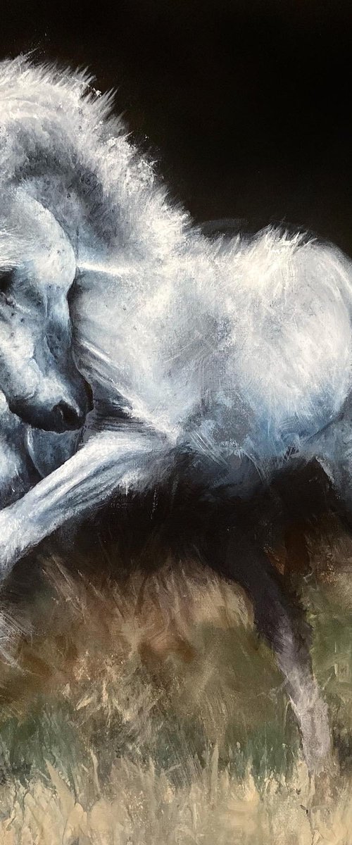 High Horse original acrylic painting by Paul Hardern