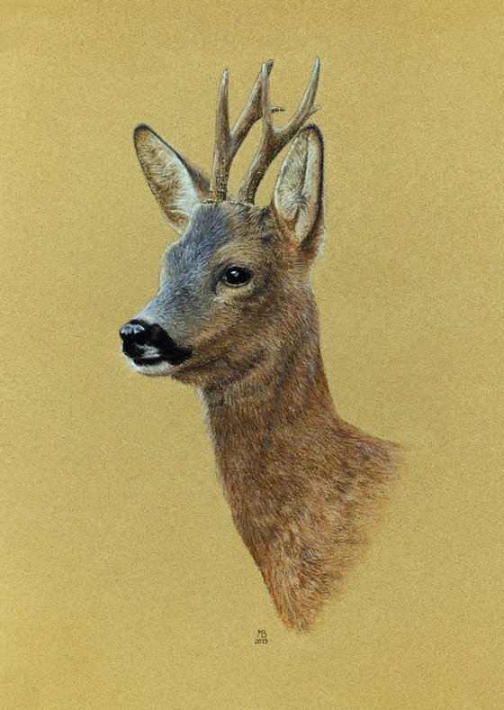 Original pastel drawing "Roebuck"