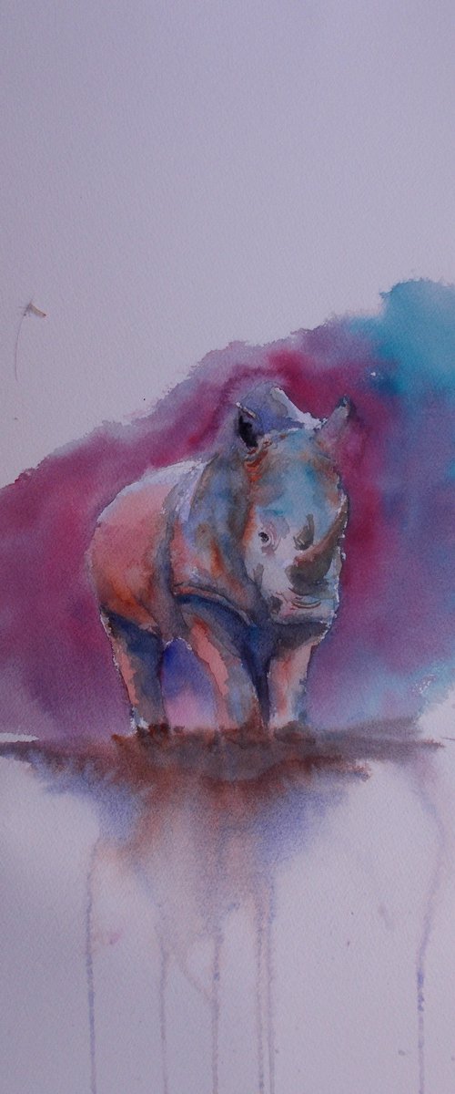 rhinos 3 by Giorgio Gosti