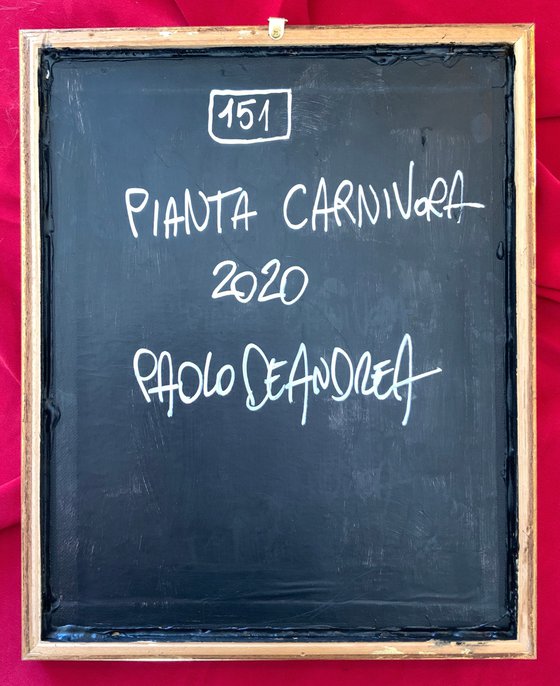 151 - PIANTA CARNIVORA (CARNIVOROUS PLANT)