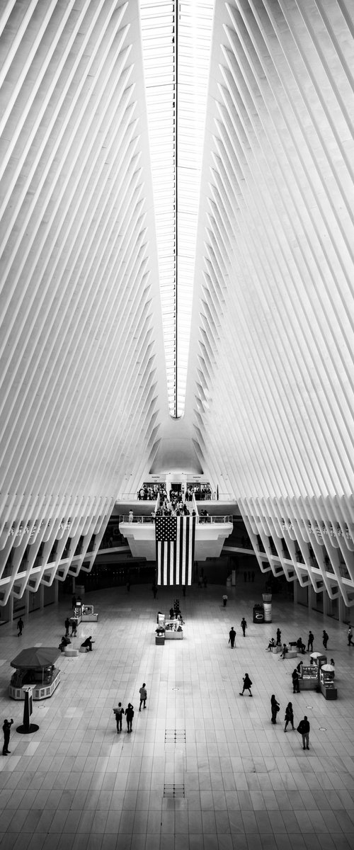 THE OCULUS by Harv Greenberg