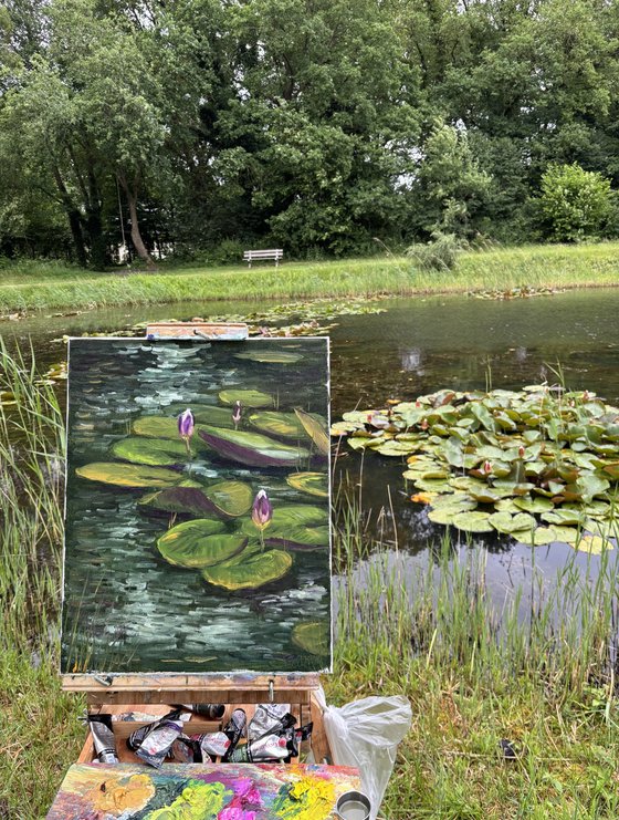 Water Lily Buds