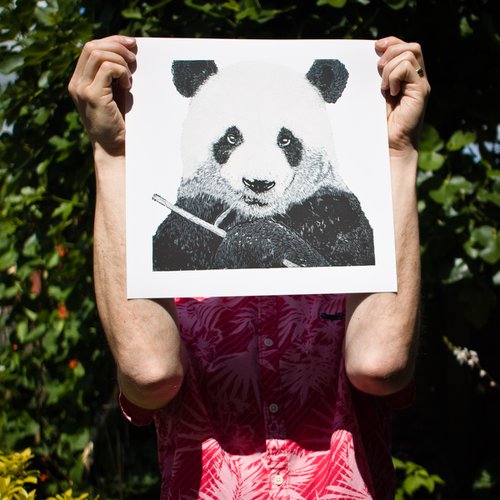 Panda - Giclee Print by Wayne Longhurst