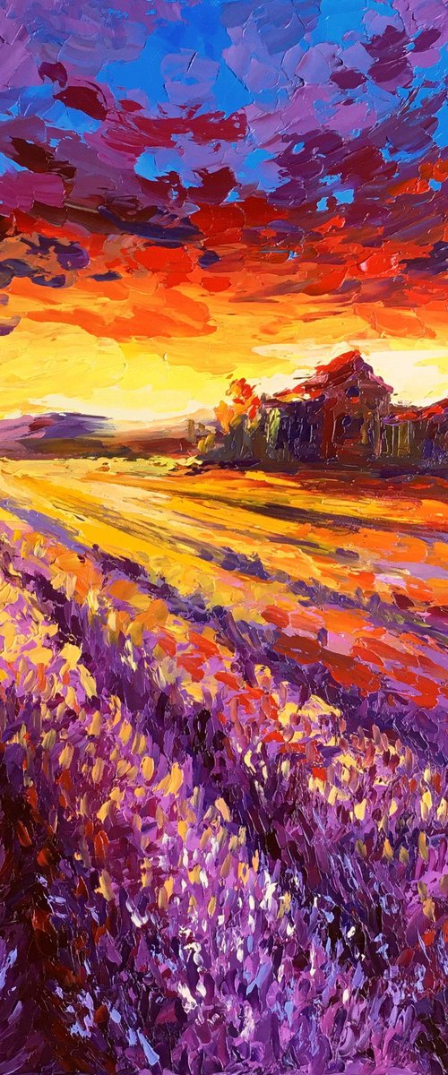 "Sunset in a lavender field" by OXYPOINT