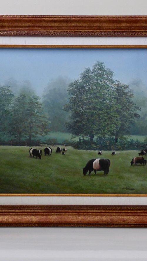 Belted Galloway Bulls Grazing by Gilbert Lessard