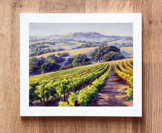 California vineyard landscape