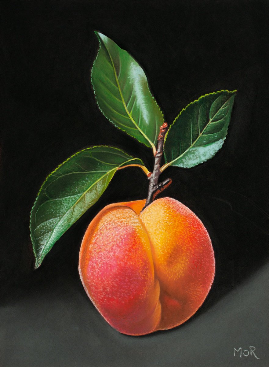 Confident Peach by Dietrich Moravec