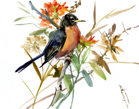 American Robin Bird Art