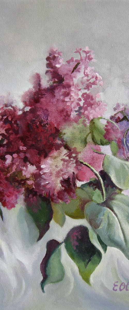 Lilac blossom by Elena Oleniuc