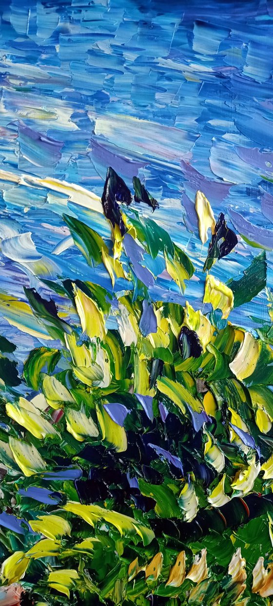 Scogliera Fiorita