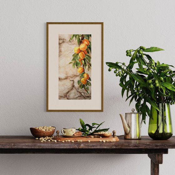 Whispers Through the Wall – Apricots