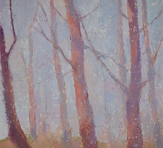 Landscape oil painting, Birches Grove, One of a kind, Signed, Hand Painted