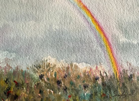 Rainbow over the hedgerow