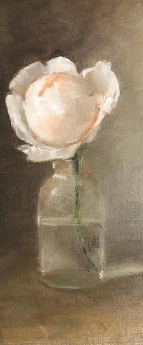 Rosebud by Margie Haslewood