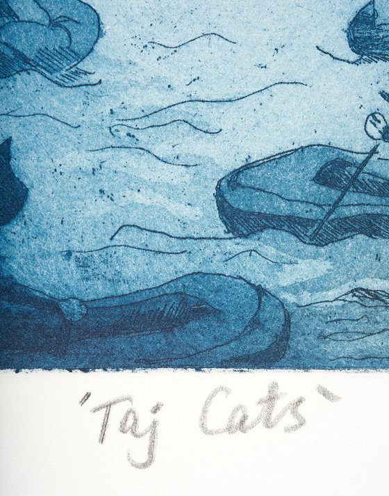 'Taj Cats'