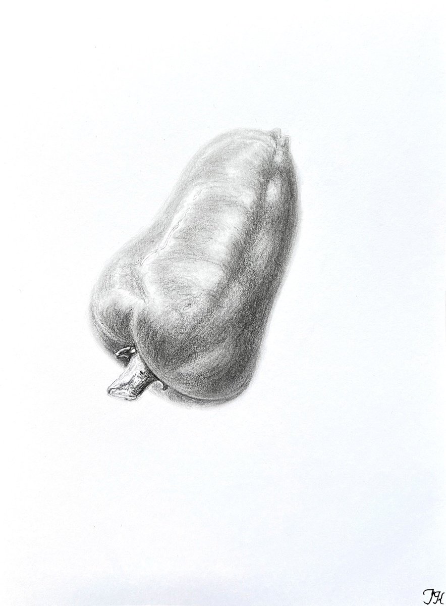 Illustrative Still Life Pencil Drawing By Tetiana Kovalova, 6 X 8", Bell Pepper, Original Artwork