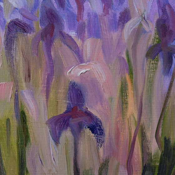 Irises 2.