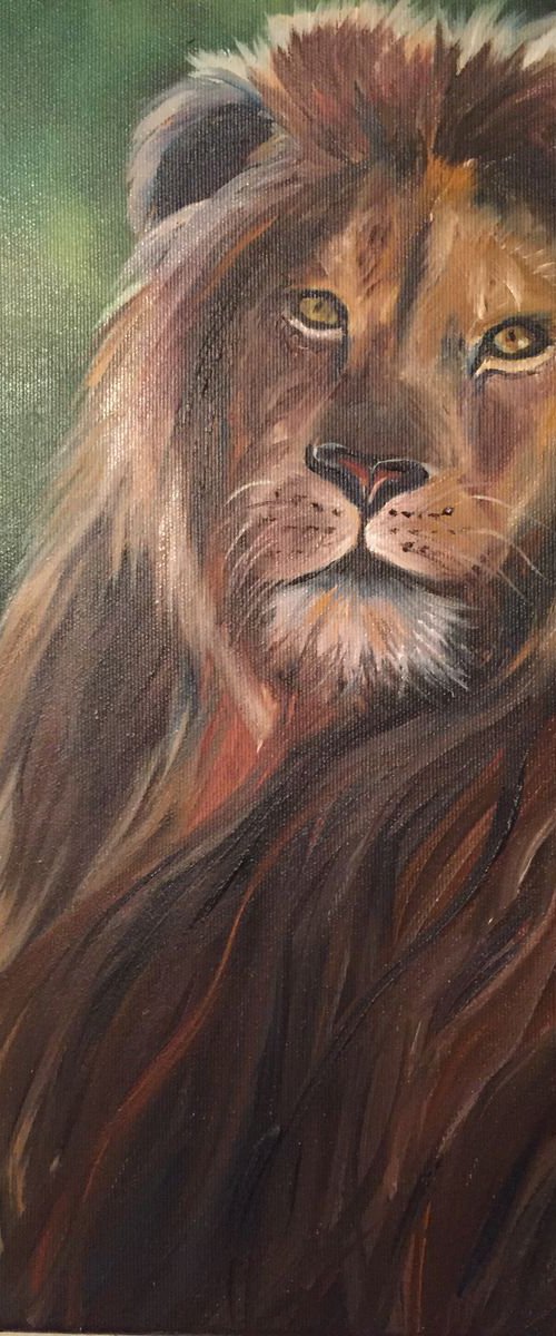 The lion with a big coat by Timea  Valsami